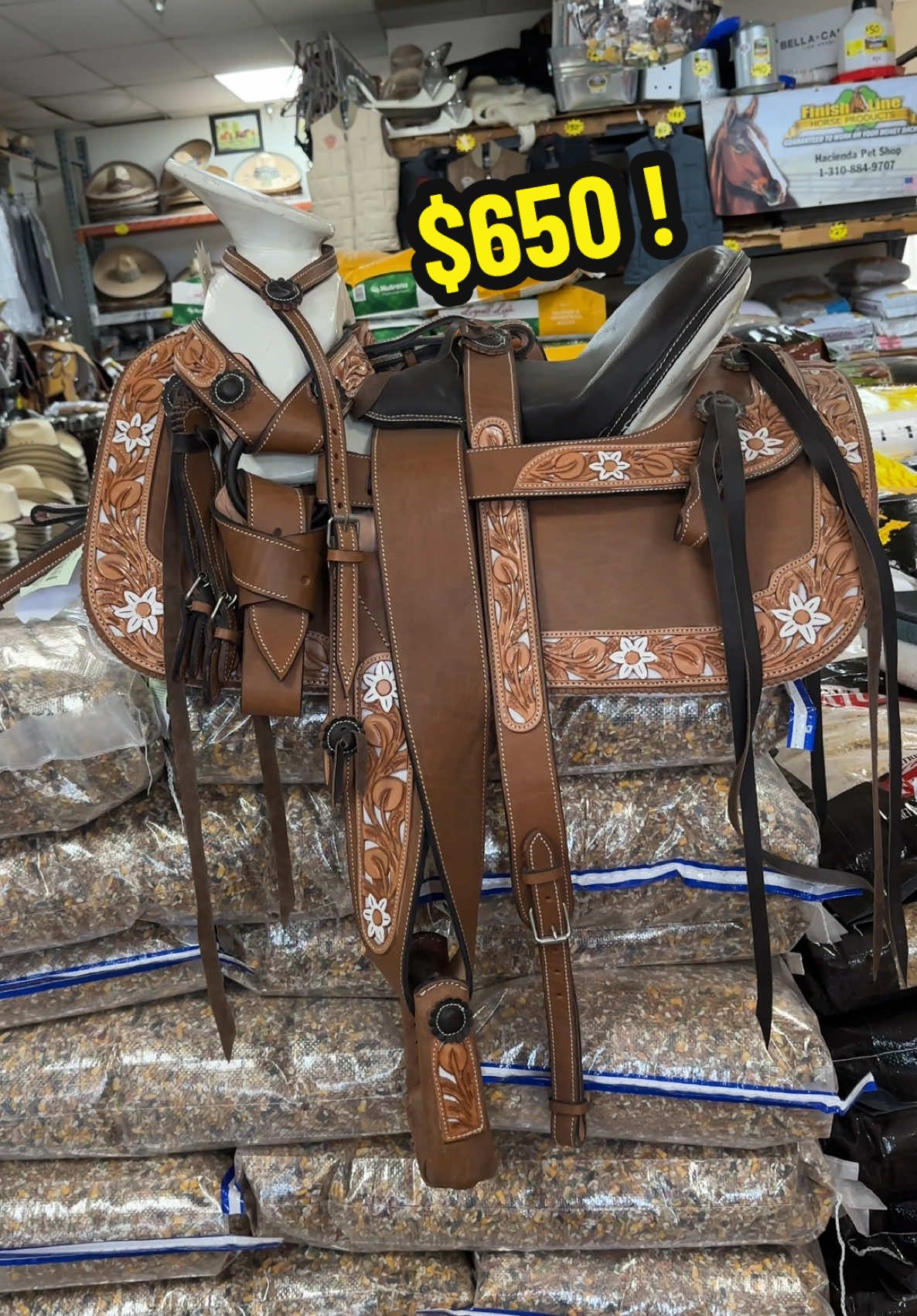 Montura en $650 ! 🤠🔥 #caballos #caballostiktok #caballosoficial #rancho 