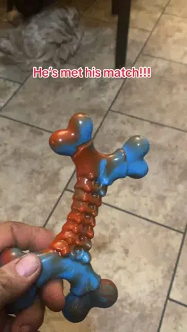 Tough dog toy for tough dogs!!! #titokshopblackfriday #tiktokshopcybermonday #toughdogtoys #fypシ 