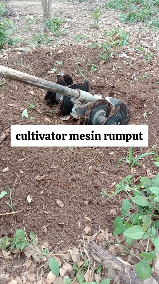 dapatkan produk original di video ini #cultivator #rotary #mesinrumput #penggemburtanah #sukhrofiharis 