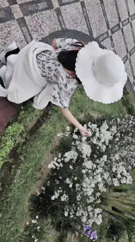🦋🐚