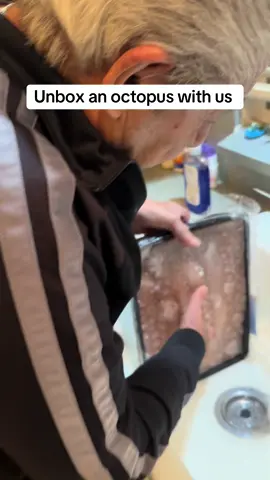 Unbox and defrost an octopus with sally boy #fy #fyp #foryou #foryoupage #fypage #italian #sallyboy #seafoodsalad #tenda 