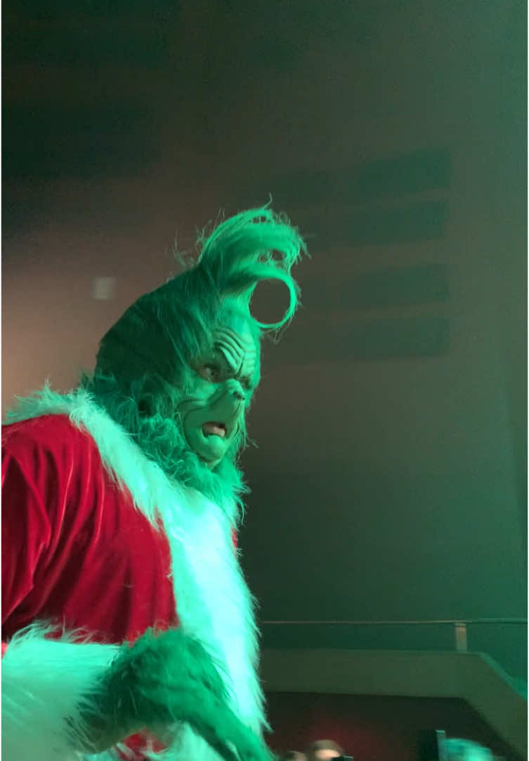 El grinch argentino mas tranquilo @Santiago Castro  #navidadentiktok #navidad #musical #musica #argentina #argentina🇦🇷 #grinch #show #paratiiiiiiiiiiiiiiiiiiiiiiiiiiiiiii