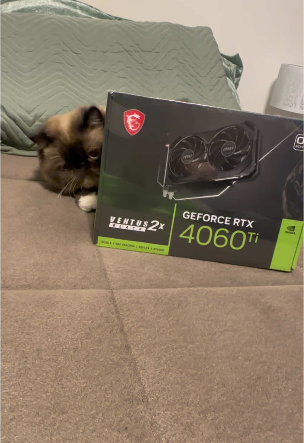 por fin llegó! ❤️‍🩹 #pc #rtx #tarjetadevideo 