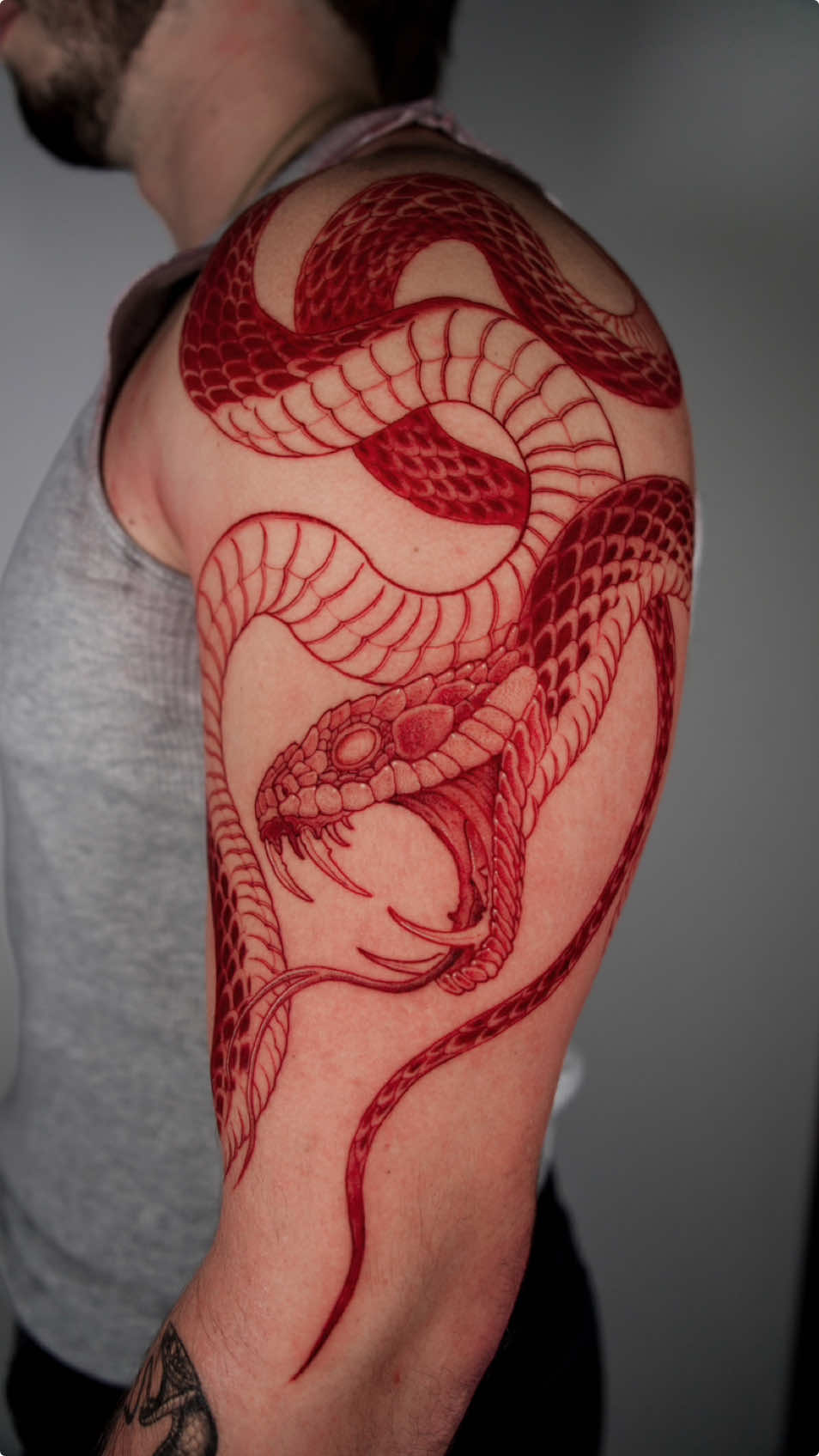 Red snake ❤️‍🔥 #tattoo #BodyArt #TattooArtist #tatuagem #TattooDesign #tattooideas #snaketatt #tattoolover #redink #tattooart #Tattoos #red 