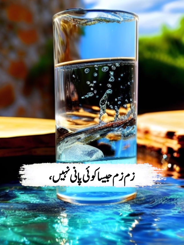 زم زم جیسا کوئی نہیں نہیں ۔۔ #islamic_video #urduquotes  #zamzam #water #quran #namaz #quotes #urdu #islamic #allah #foryoupage❤️❤️  #dilsequotes @Dil se Quotes 