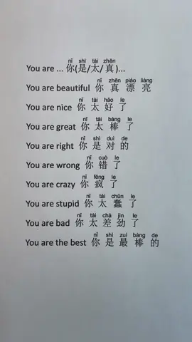 You are… 你(是/太/真)…#LearnOnTikTok #learnmandarin #learnchinese #chineselanguage #chinese #mandarin #chinesebook #chinesetiktok #chineseteacher #fyp #foryou #foryoupagе #trend #trending 