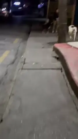 🐕🐕🐾🐾🥰🥰