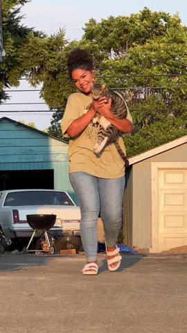 The day I met Mr. Meowski #catwalk #catluminat 