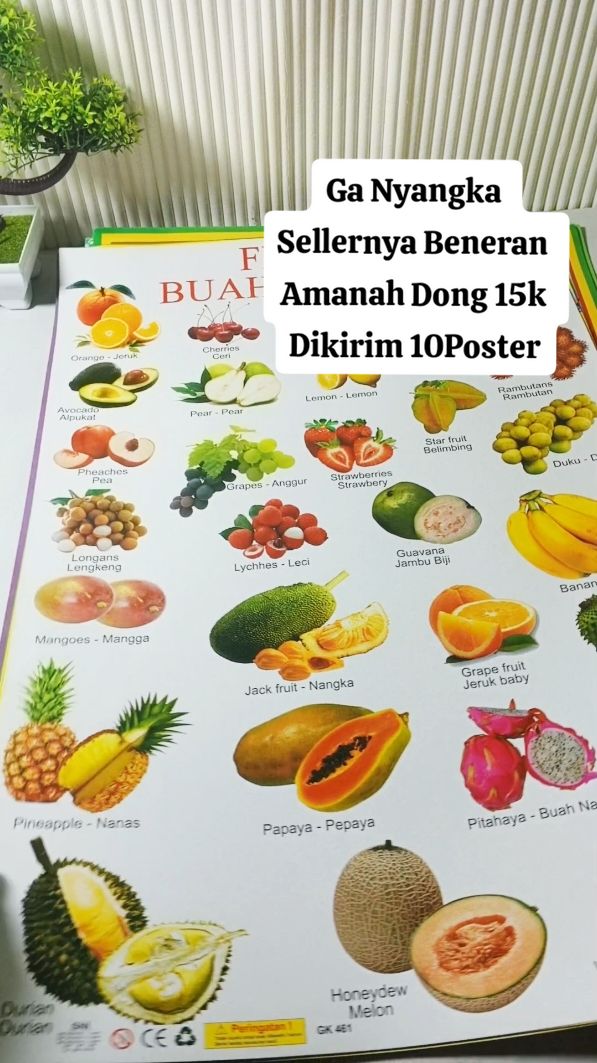#posterbelajar #posteranak #posteredukasi #posterhewan #posterbuah #paketposteranak #posterangka #posterhuruf #cuantanpabatas #wibgajian 