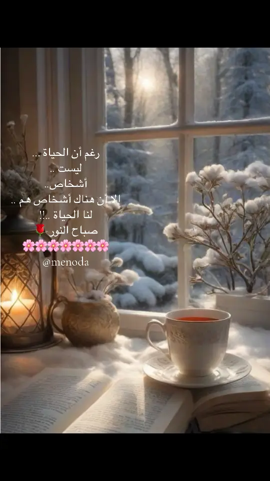 #مجرد_ذوق #صباح_الخير #جايبلي_سلام_فيروز_صباح_الخير🕊️☕ #فيروز_العشق #فيروزيات #فيروز 