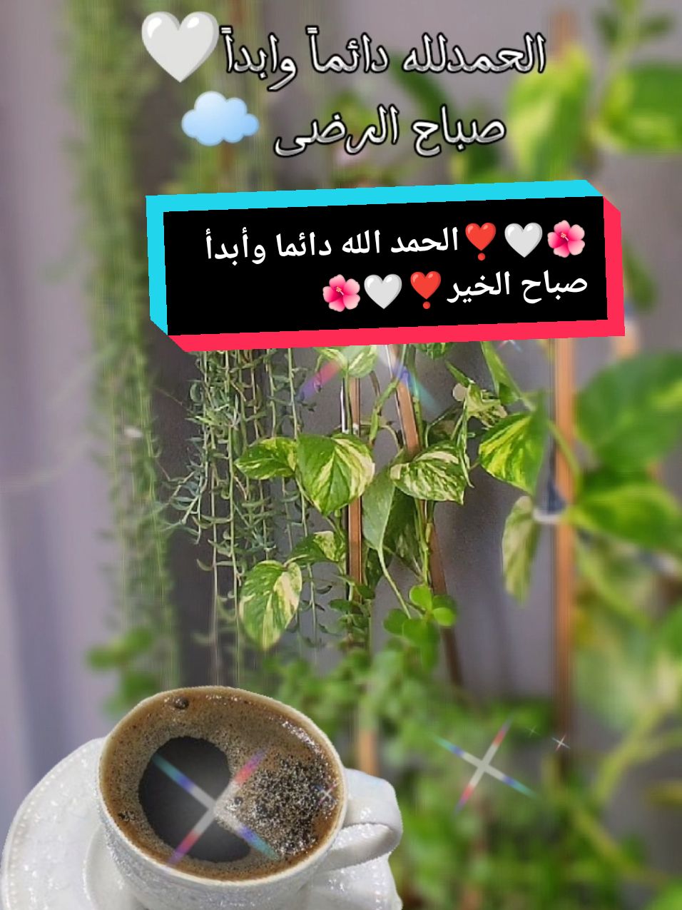 #CapCut #🌺🌹🌺#الحمد الله دائما وأبدأ صباح الخير#ALMDMRALSO #yt 