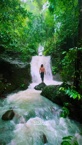 Air Terjun Tiu Pane - Kerujuk Pemenang Lombok Utara #alkafjourney #jelajahlombok #lombokutara #kampungekowisata #desakerujuk #airterjunindonesia #desawisata #tiusumbak #pemenang #tiupane #hutan 