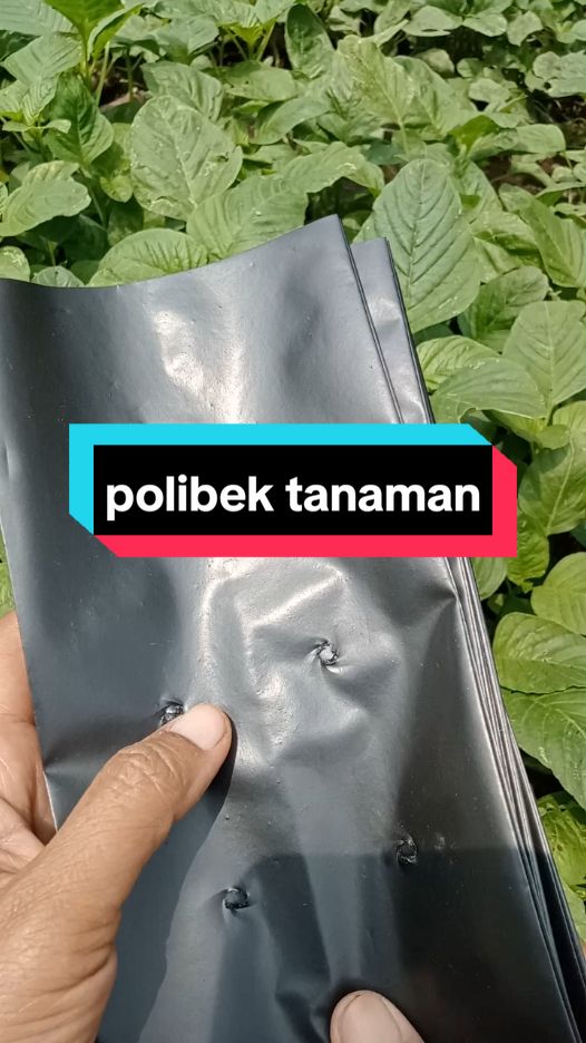 polibek plastik serba guna isinya banyak tapi harganya murah#cuantanpabatas  #polibek #polibek plastik