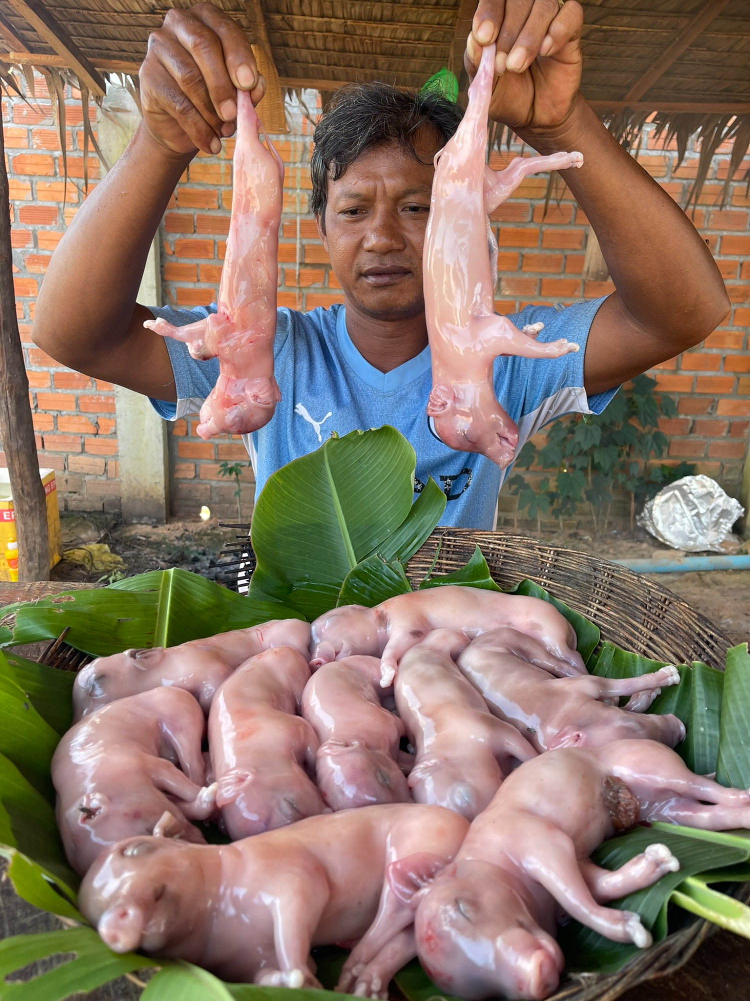 OMG Deep Grill & Eat Pig's Babies with spicy salad #cooking #eating