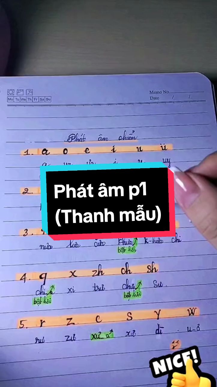 Phát âm chuuẩn cho ngườii mới bắt đầu! #tuhoctiengtrung #hoctiengtrungcungsannhe  #tuhochsk #tiengtrungcoban #tiengtrungmoingay #tiengtrunggiaotiep #tuvungtiengtrung #họctiếngtrung #xuhuong #xuhuongtiktok #thanhmautiengtrung #phatamtiengtrung #tangflower #viral  #new 