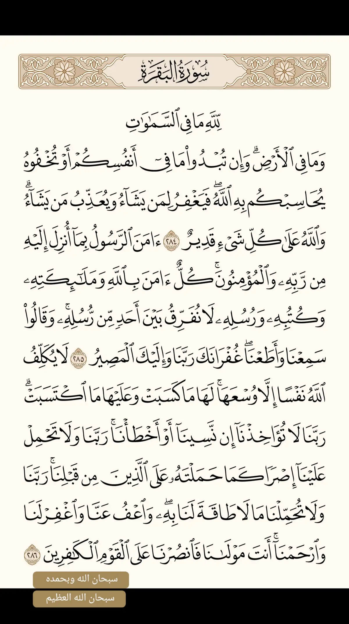 #قران_كريم #ارح_سمعك_بالقران #ارح_قلبك_المتعب_قليلاً🤍💫 #القران_الكريم_راحه_نفسية😍🕋 