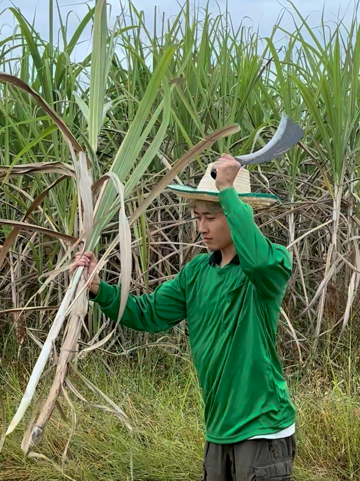 ตัดอ้อยจรัญ 2 ##สุระการเกษตร ##อุปกรณ์การเกษตร