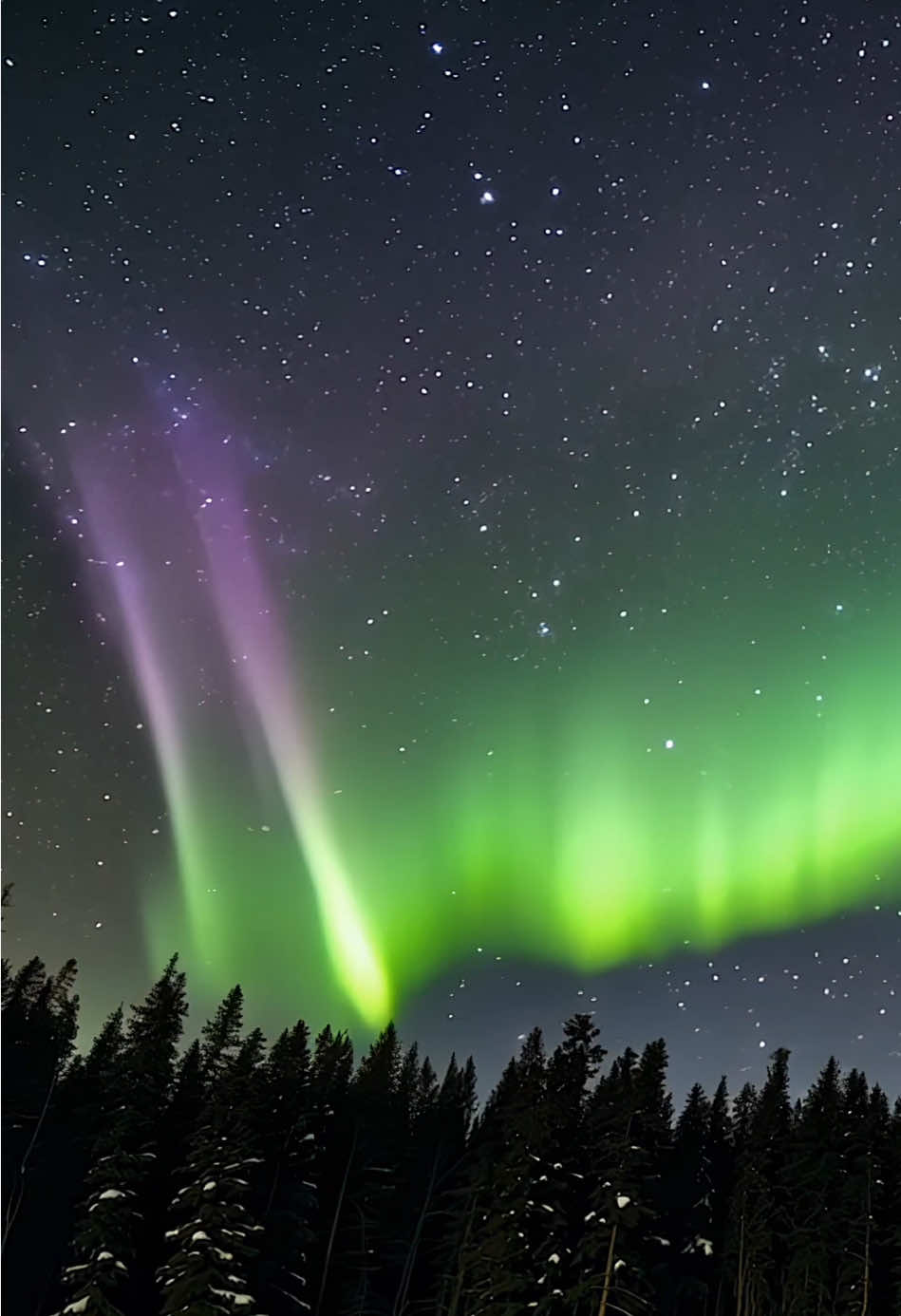 Calming Nothern Lights #fyp #foru #foruyou #winter #snow #night #beautiful #beautifuldestinations #aesthetics #aestheticvideos #positivevibes #feelinggood #aurora #nothernlights #ai #aiart 