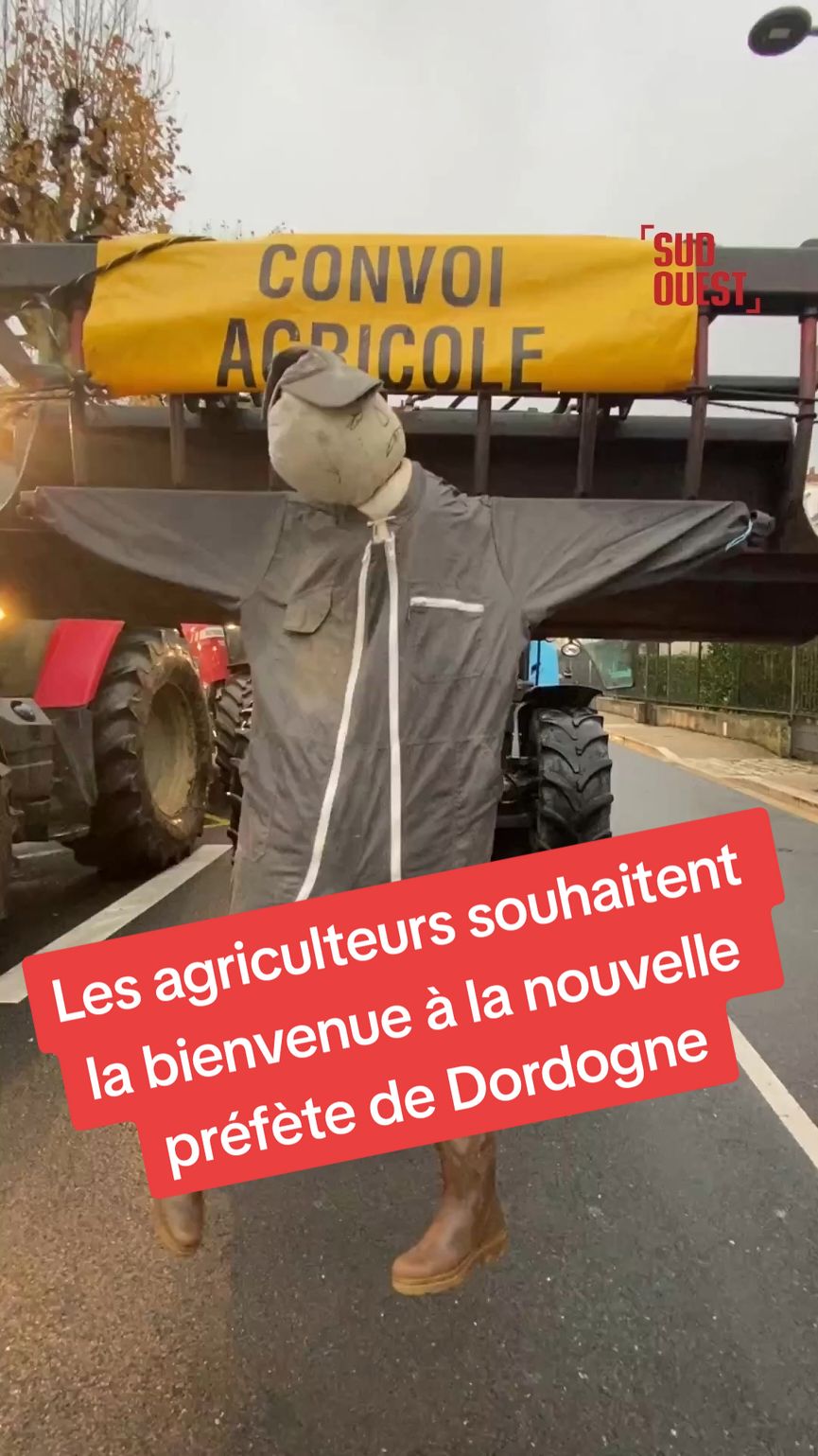 🚜🎄Les Jeunes Agriculteurs et la FDSEA ont symboliquement installé un arbre de Noël et une crèche devant la préfecture de Périgueux ce lundi, pour souhaiter la bienvenue à Marie Aubert, nouvelle préfète de Dordogne. « Il s’agit de la mettre directement au fait des dossiers de notre département », commente le président de la FDSEA périgourdine Joël Fréret. #ApprendreSurTikTok #SinformerSurTikTok #agriculteurs #perigueux 