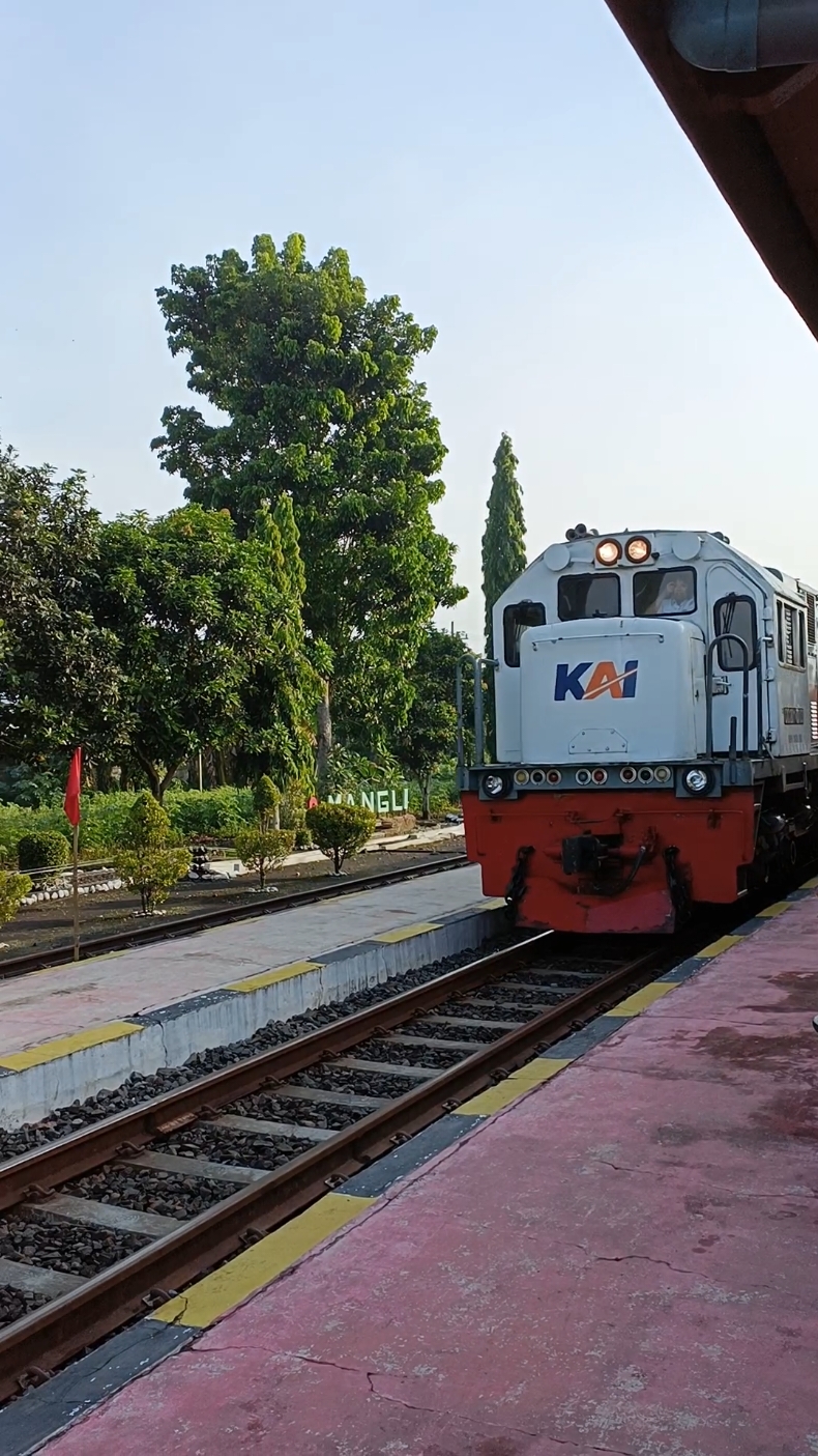 KA Logawa Berjalan Pelan Di Stasiun Mangli #ilhammulyono #logawa #keretaapi #sepur #train #kai #daop9 #mangli #jember