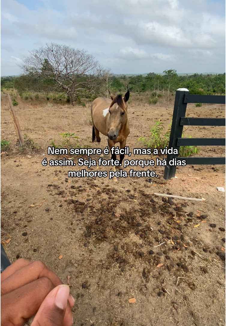 🧏🏽💭#fyp #reflexion #motivacion #forte #agro #agropecuaria 