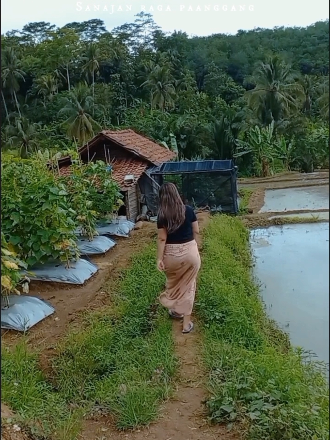 Proses Seorang Wanita Kampung🥹😥 #orangkampung #perjalananhidup #suasanapedesaan 