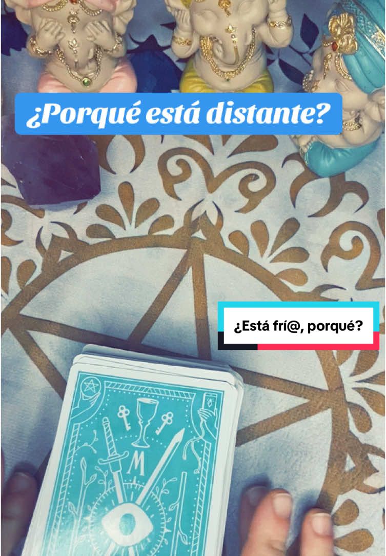 ¿Porque tu persona especial está fria y distante? ¿Que le ocurre? SI TE HA SALIDO ES PARA TI 😇 Decreta si te resuena la lectura!!! #tarot #tarots #tarotreading #tarotreader #tarotcards #tarotresponde #tarotinteractivo #tarotamor #tarotconsulta #lecturadecartas #lecturadetarot #lecturadecartasdeltarot #lecturadeamor 