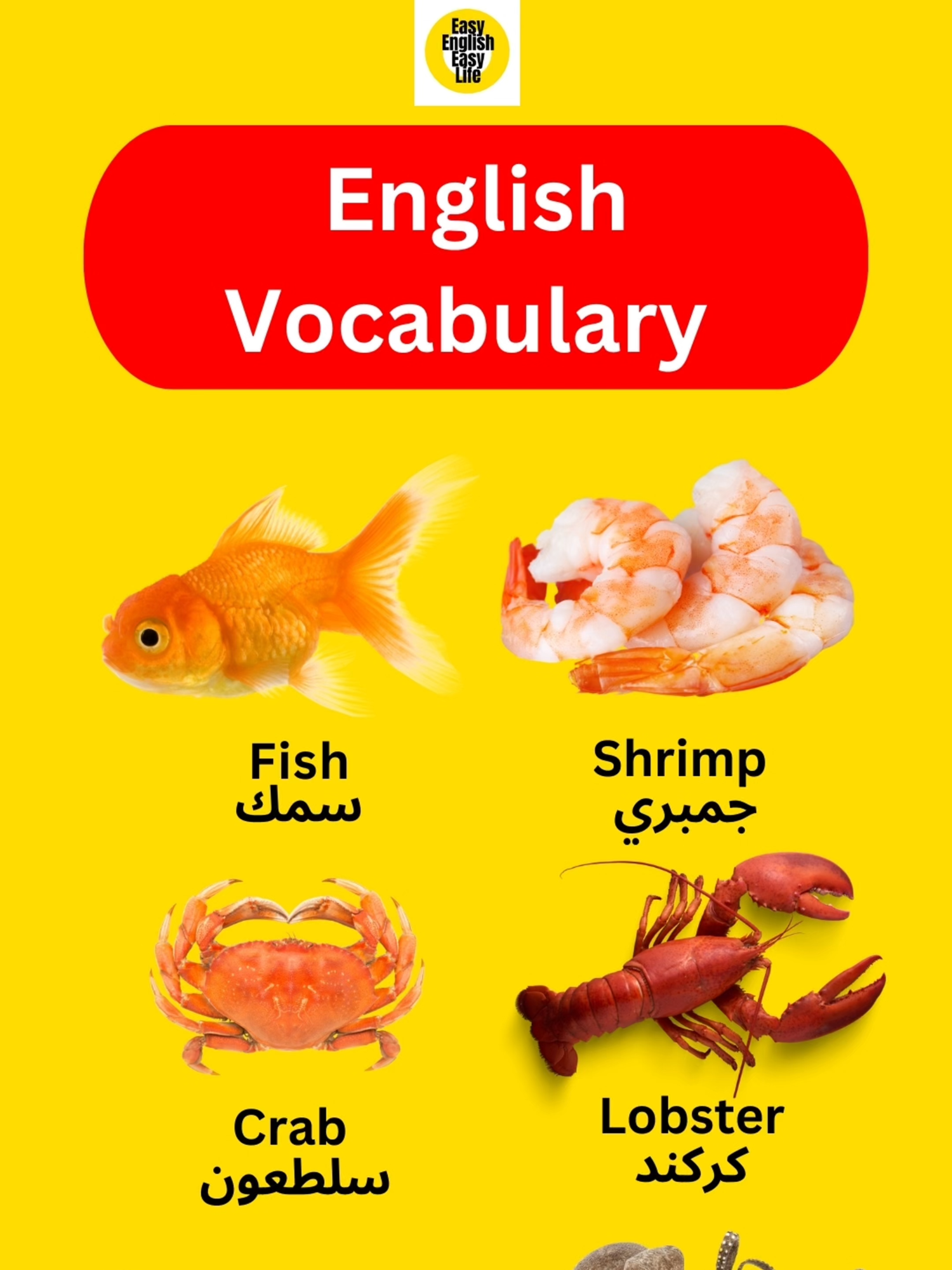 English vocabulary for daily routine #انجليزي_بالعربي #LearnEnglish #english #dailyroutines #learnenglish #phrasalverbs #انجليزية_للمبتدئين #English