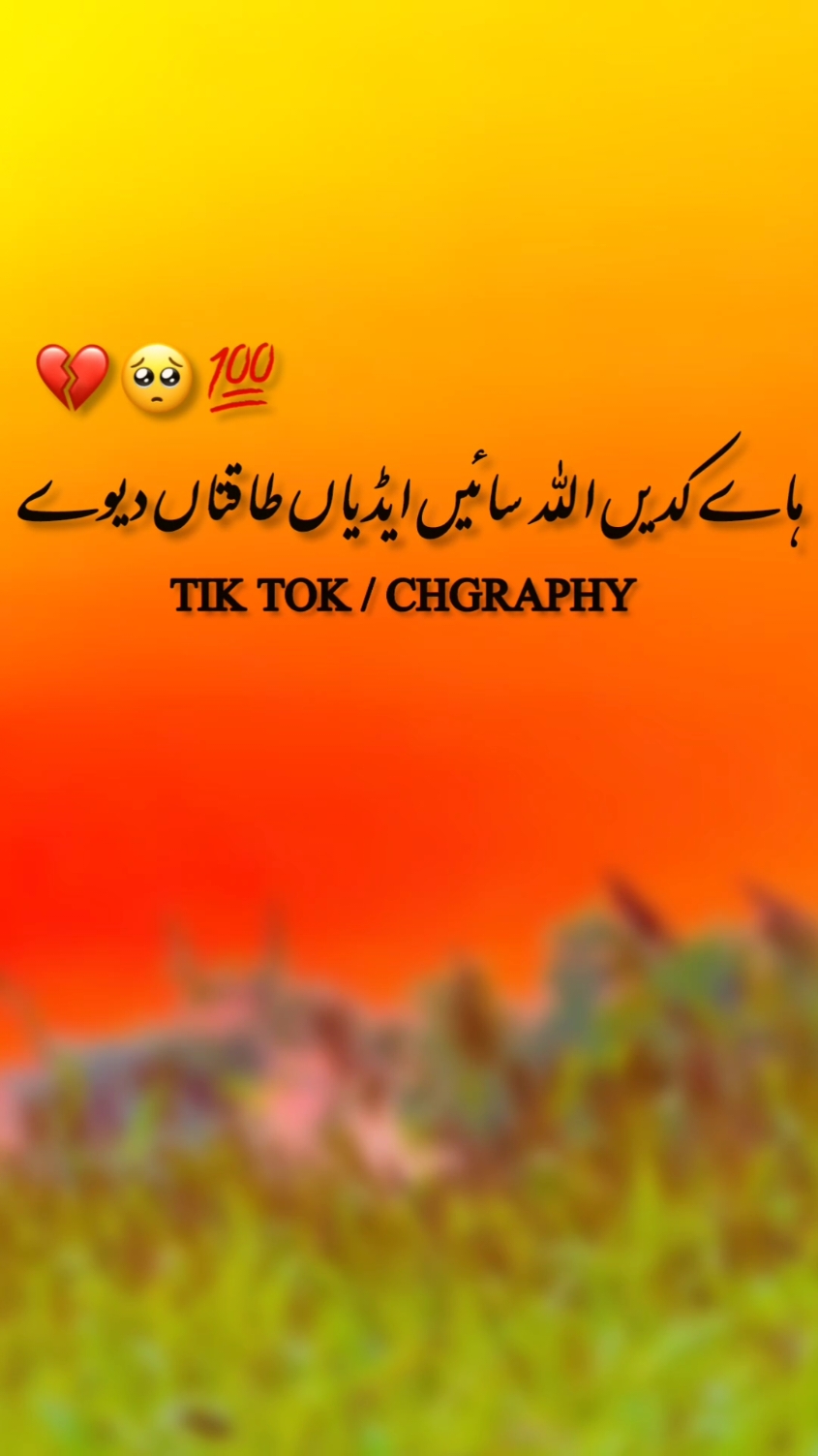 توہیں سجنڑ دے ناں کر چھوڑاں 💔😭#foryou #fypシ゚viral #urdushayari #punjabipoetry #kawishtamimi #dailystatus52🥀 #ch #viral #500k #standwithkashmir @TikTok for Business 