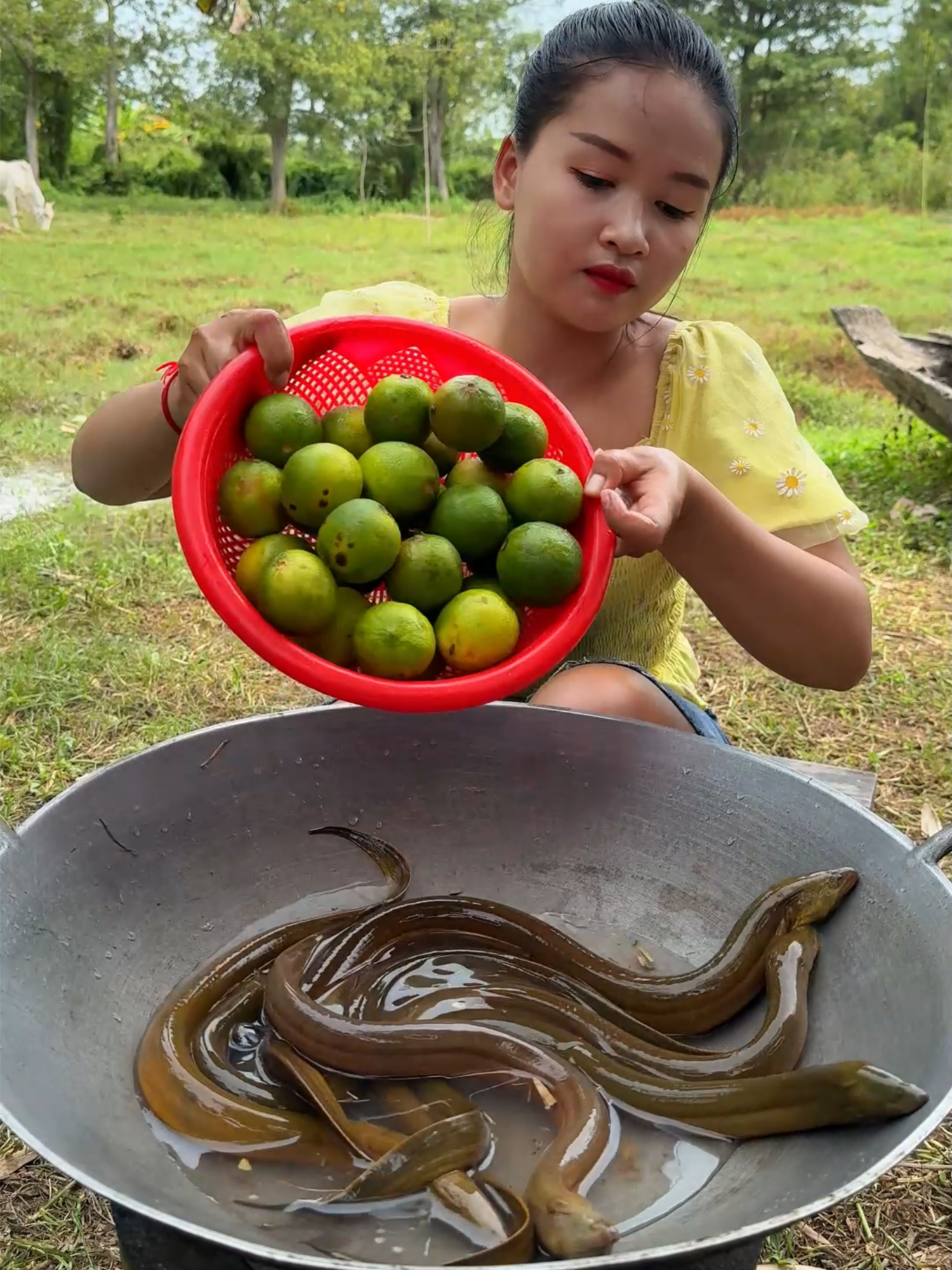 How to cook eel with cocacola recipe