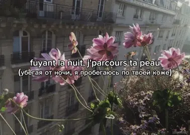 Roi - Videoclub перевод: lyrsence #french #lyric #переводпесни #текстпесни #рекомендации #fyp #lyricvideo #aesthetic 