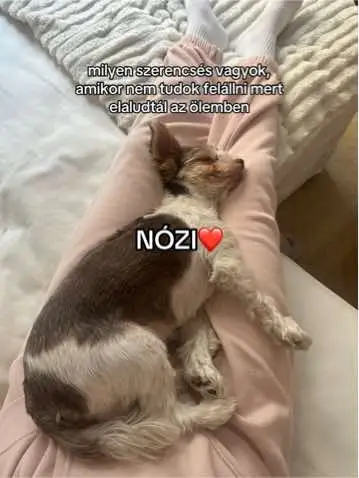 Nózi appreciation post❤️ 