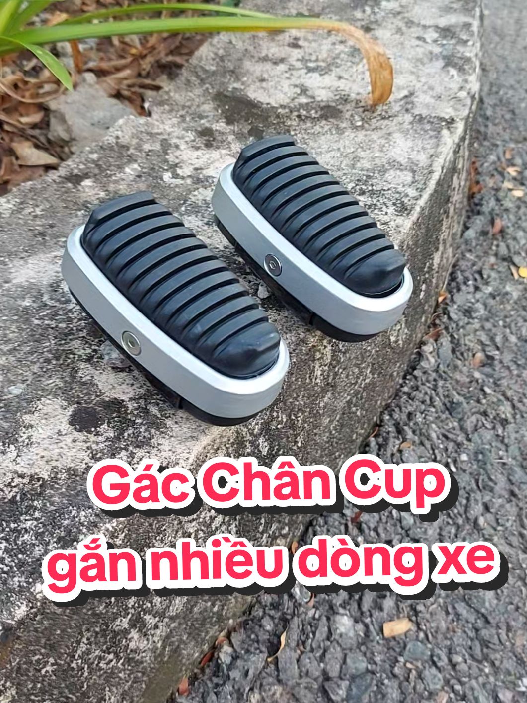 Gác chân Caosu Cup viền nhôm Bạc #dochoixemay #phukienxe #caoducracing68 #fybシviral #fyb #xuhuong #phutungxemay 