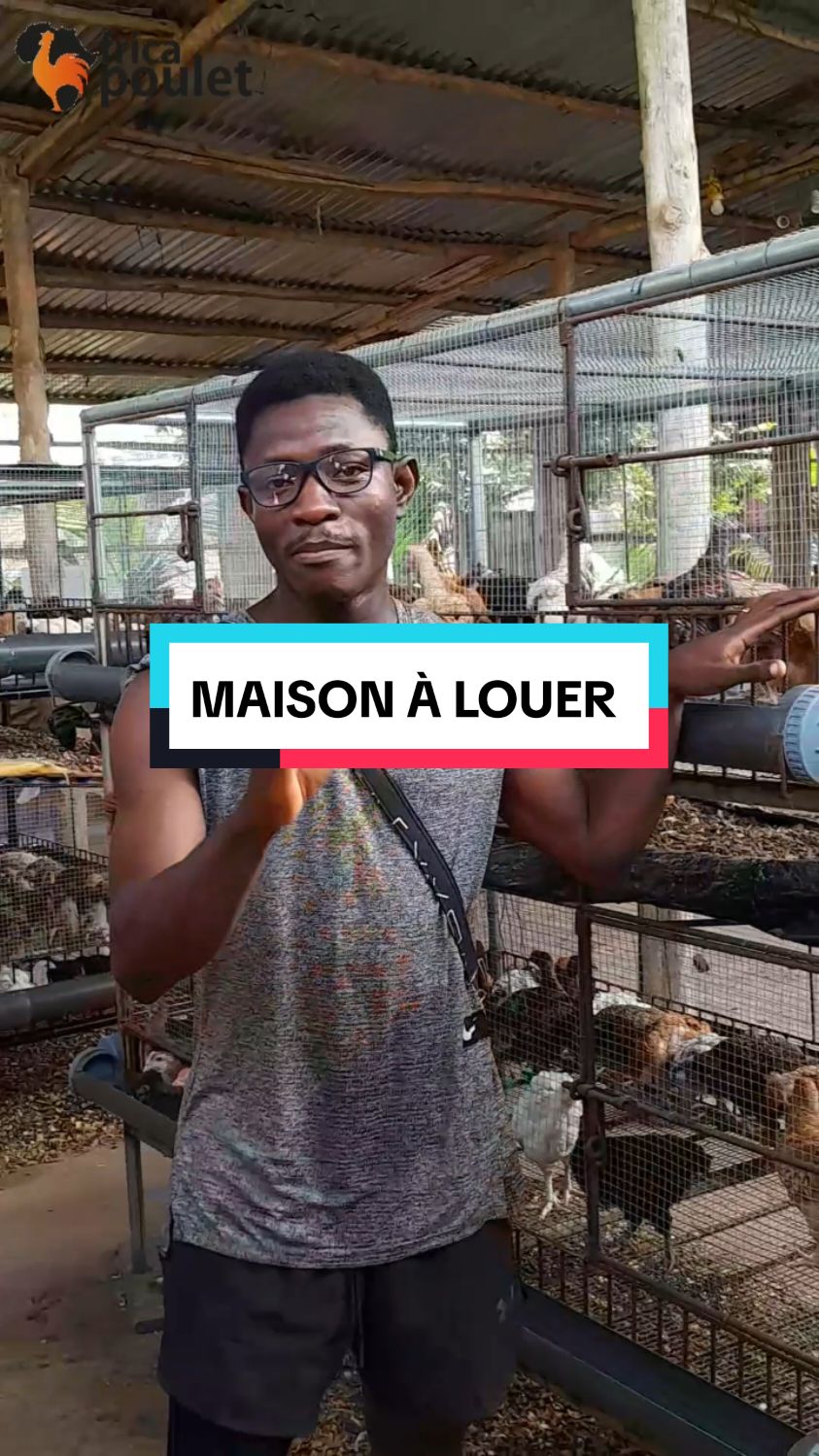 MAISON À LOUER #elevagepouletgoliath #benin #africa #viral #tiktokeurope🇪🇸 #poulepondeuse #tiktoketatsunis🇺🇸🇺🇸🇺🇸 #elevagepoulepondeuse #provende #elevagepoulet #tiktok #investissement #formulealimentaire #tiktokfrance🇨🇵 #elevage #benintiktok🇧🇯 #tiktokeurope #elevagepouletdechair #100kviews #fenou11111 