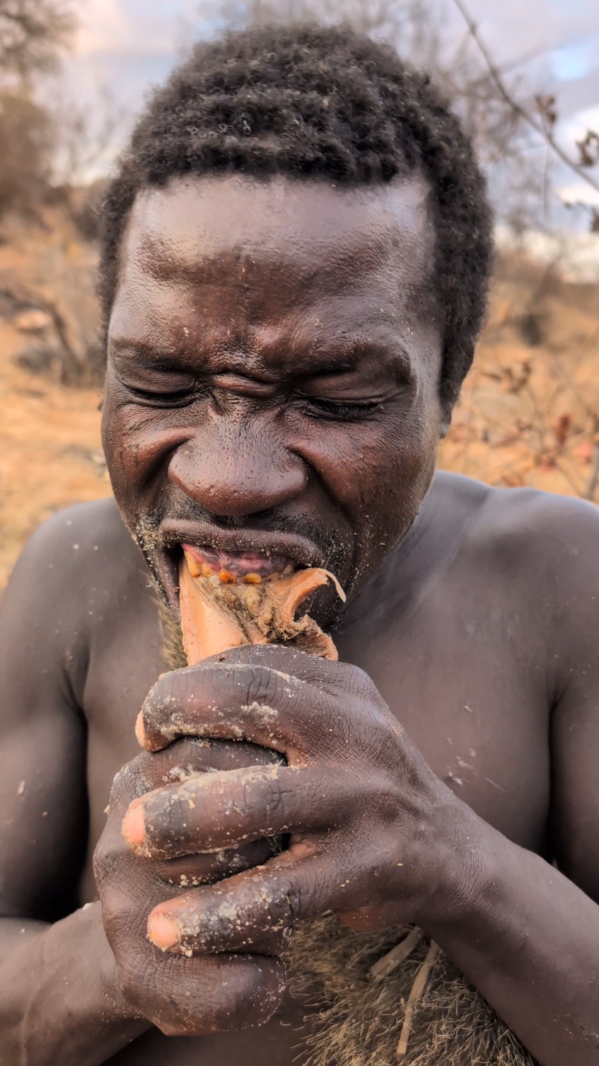 That's Incredible delicious 😋🔥 Hadzabe tribe hunts enjoying breakfast time🤤So Amazing culture #bushmen #africa #africavillage 