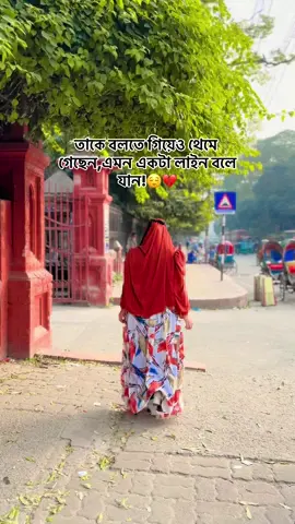 তাকে বলতে গিয়েও থেমে গেছেন ,এমন একটা লাইন বলে যান!💔😌 #foryou #foryoupageシ #unfrezzmyaccount @TikTok 