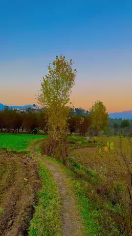 Yaw yaw Tapa waki plz 🌸🥀🦋🍂💫🍁🪷☔️🏜️🫀✌️#KHASMALA🌸🦋🥀 #foryoupage #viralvideo #newtrend #tiktokviral #videoviral #trending #foryou #vairal #swat #unfreezemyacount #new_trending #plzviral🥺🥺🙏🙏foryoupage 