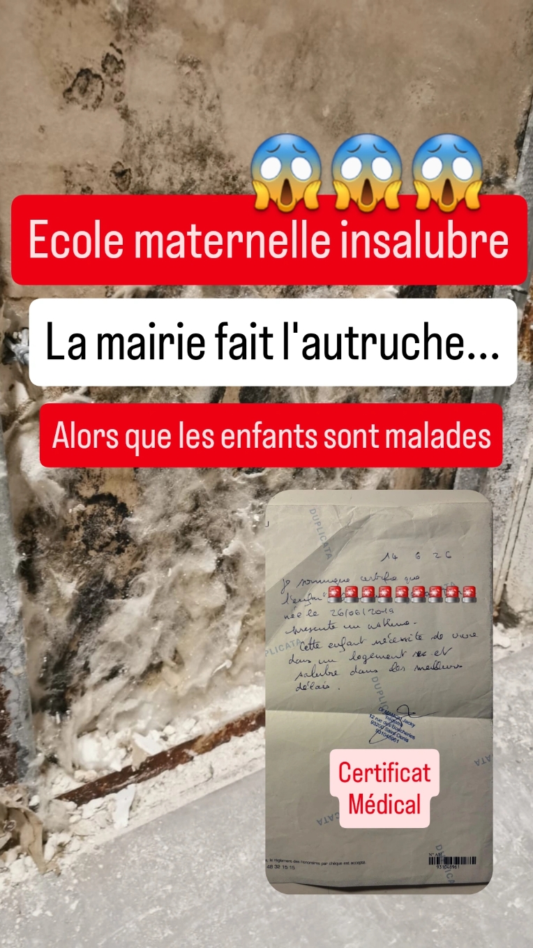 🆕 Nouvelles de l'École Maternelle Insalubre Le Rouillon 🆕 Aujourd'hui, j'ai des nouvelles importantes à partager concernant l'école. Enfin, après 11 semaines, des déshumidificateurs ont été installés pour assainir l'air que respirent nos enfants et le personnel. Cependant, plutôt que de les recevoir de la mairie, qui avait pourtant promis de les fournir officiellement, c'est une multinationale privée qui nous en a fait cadeau, sans aucune contrepartie. Cela soulève de sérieuses questions sur la position de cette mairie. 🤔 De plus, un article sur l'école est paru dans le journal de Saint-Denis. Cet article met en lumière la responsabilité présumée de l'ancienne municipalité dans l'insalubrité de l'école, tout en évacuant complètement la responsabilité de la mairie actuelle. Curieusement, les enfants et le personnel ne sont même pas mentionnés. 😠 Ce jeudi, un mouvement social se tiendra devant la municipalité de Saint-Denis à 18h. Nous vous invitons à venir nombreux et nombreuses pour montrer notre soutien ! 🙌✨ Enfin, une maman m'a contacté, très inquiète par rapport à la santé de ses enfants, qui présentent des troubles respiratoires de plus en plus graves. Elle m'a envoyé les certificats médicaux, espérant qu'ils l'aideront à sortir de cette situation d'insalubrité qu'elle subit à la fois dans son logement social et à l'école. 💔 Pour nous aider, merci de relayer, partager et commenter cette publication. Cette situation inacceptable a trop duré, et nous avons besoin d'un maximum de soutien. Ensemble, faisons entendre notre voix ! 📢💪 #SoutienLeRouillon #ÉcoleInsalubre #Mobilisation #SantéDesEnfants #SoutienAuxGreves #EnsemblePourLÉcole #SoutienAuxGreves #urgence #ausecours #DroitsDesEnfants #ÉducationPourTous #ÉcoleLeRouillon #ÉcoleInsalubre #EnsemblePourNosEnfants 