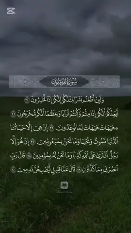 هيهات هيهات #القران_الكريم_راحه_نفسية😍🕋 #ياسر_الدوسري #quran #fyp #viral_video #explore #muslim 