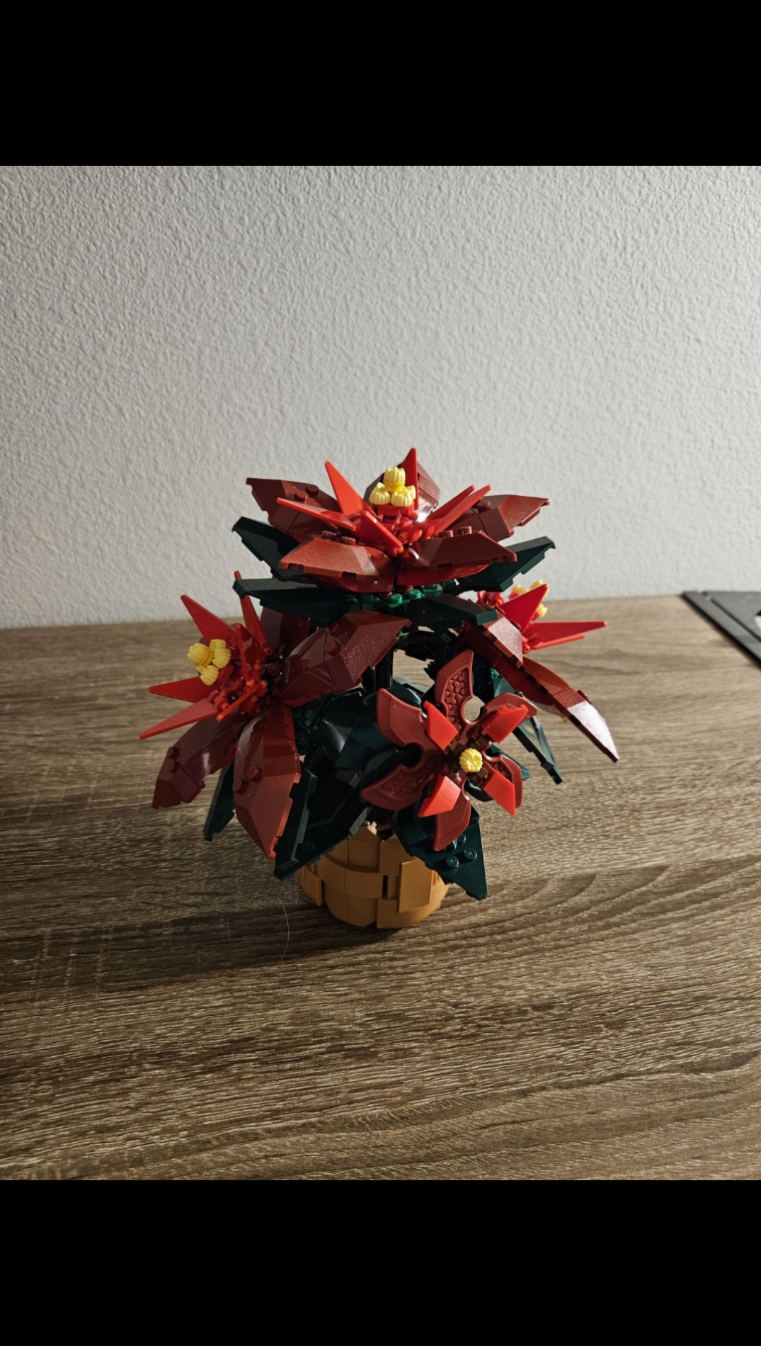 #lego #legos #afol #legotiktok #legobotanical #botanical #poinsettia #legotiktoker #legotok #legobuild #legobuilder #build #art #fypage #foryou @LEGO 