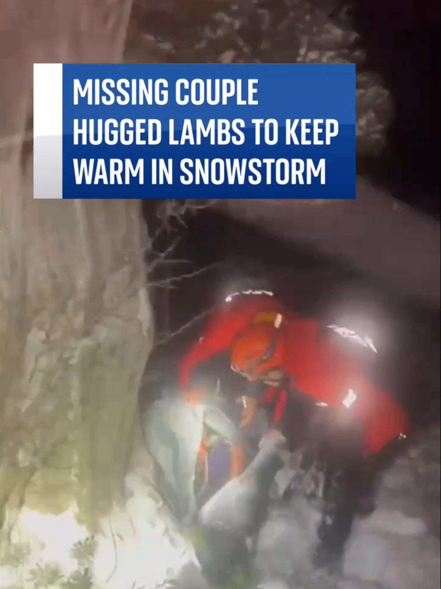 Elderly couple who went missing hug lambs for warmth in the snow ⬆️ Naciya and Mustafa Akin, a 70-year-old couple, went missing while trying to get home during heavy snow in Turkey #Turkey #Couple #Lambs #Snow #Missing