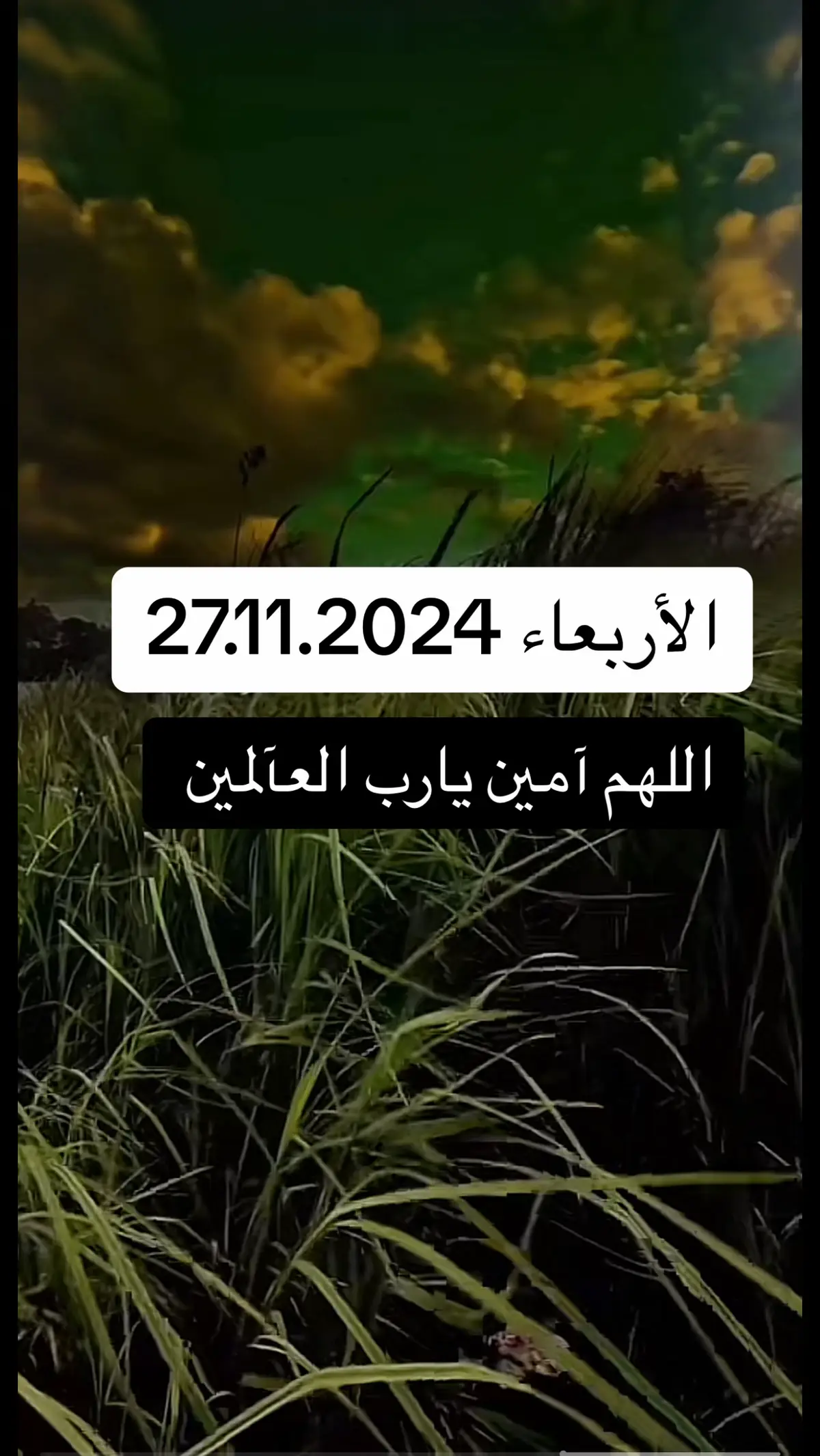 #لابذكر_الله_تطمئن_القلوب #لايك_متابعه_اكسبلور #فضلاً_وليس_امراً_💙_🌹 #tiktok #fyp #L