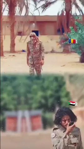 ##تشاد 🇹🇩# السودان 🇸🇩#🦁#