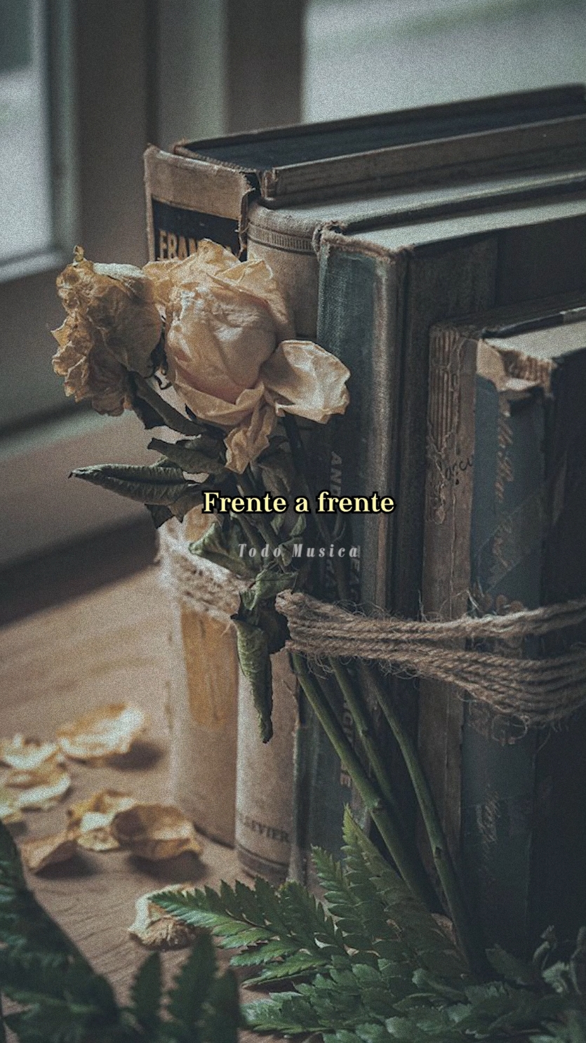 Jeanette - Frente a frente #jeanette #frenteafrente #cancionesdelrecuerdo #musica 