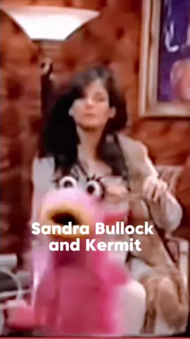#funnyvideos😂 #kermit #sandrabullock #muppets #mahnamahna 