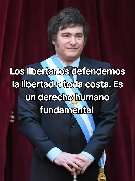 libertarismo explicado con imágenes feas #fyp #fypp #milei #argentina #libertarios #socialismo #zurdos #latam #politics 