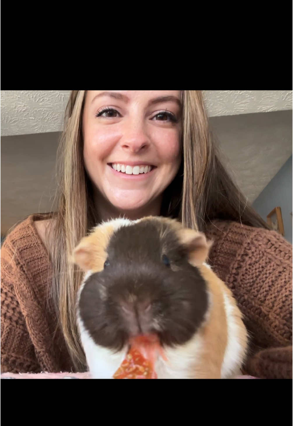 Ever seen a vampire pig? 🧛‍♀️ #guineapig #guineapigs #pet #pets #PetsOfTikTok #cute #foryoupage #animal #animalsoftiktok 