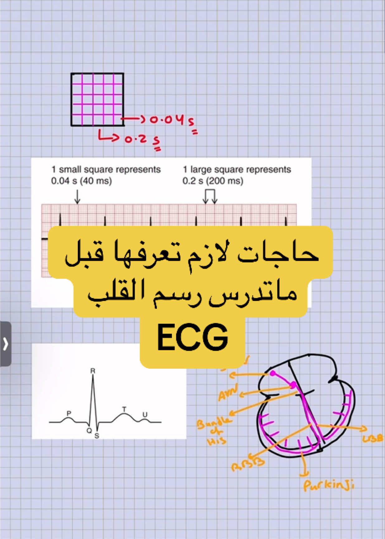 حاجات لازم تعرفها قبل  ماتدرس رسم القلب #دكتور_كمال #ecg #رسم_قلب  #medicalstudent 