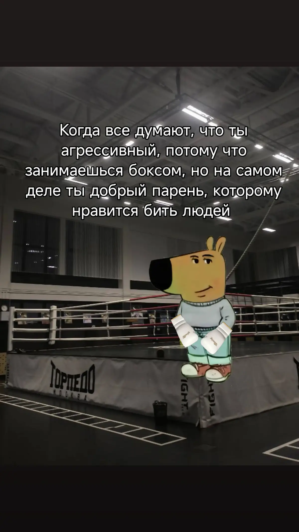 #chill #vibe #boxing #бокс #chillboy 