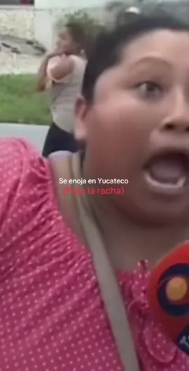 #racha #fyp #fypシ #viral #yucateco 
